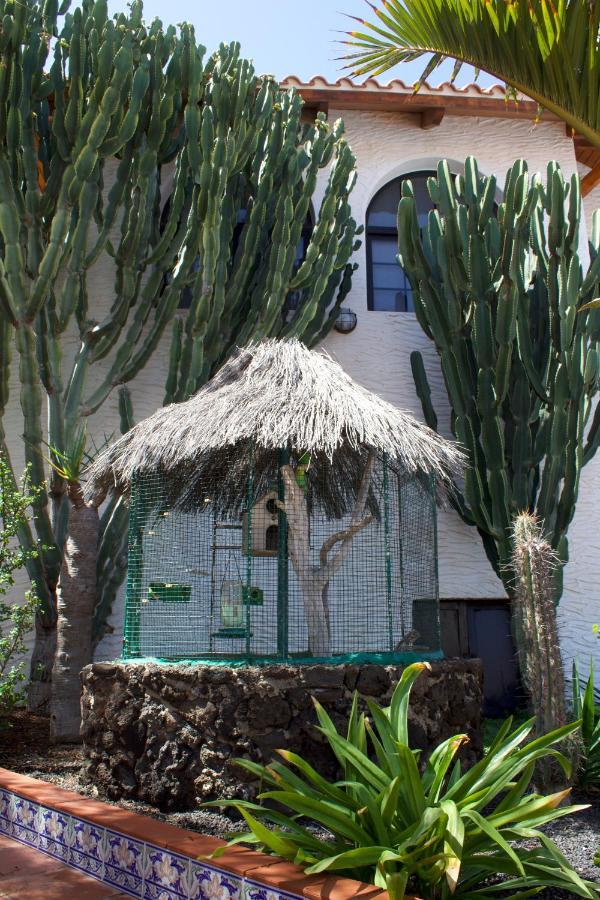 Miramar Boutique Apartments Adults Only Corralejo Luaran gambar
